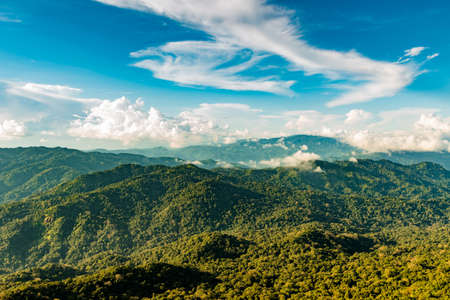 green forest and blue sky.の写真素材