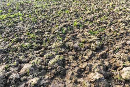 Plowed land