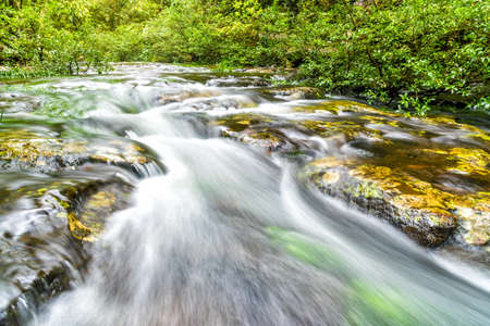 Mountain river in rainforest.の写真素材