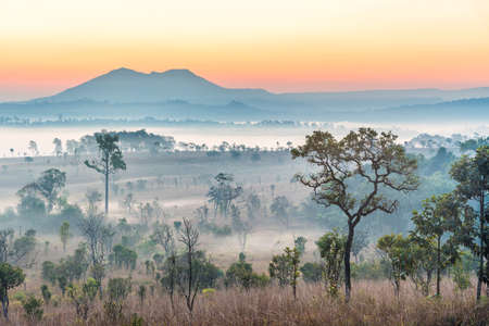 Sunrise above the mountain and misty forest on the morning.の写真素材