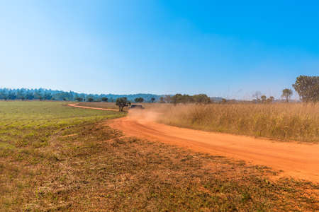 A Truck is driving on curve dirt road in savanna forest.の写真素材