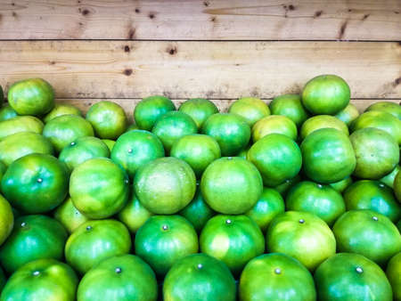 Close up of many green limes on the shelf.の写真素材