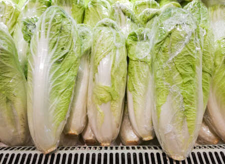 Fresh Chinese Cabbage Michilli in vegetable store.