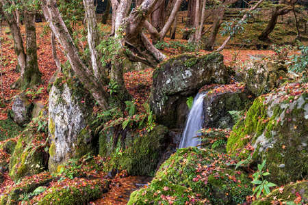 Small waterfall and mossy rock in autumn forest.の写真素材