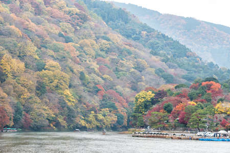 Colorful autumn forest and river in Arashiyama, Kyoto, Japanの写真素材