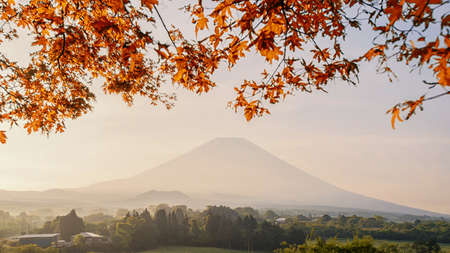 Beautiful view of Mount Fuji and field , This mountain is an famous natural landmark of Japanの写真素材
