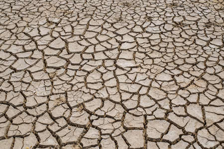 Crack soil on dry season, Global warming / cracked dried mud / Dry cracked earth background / The...
