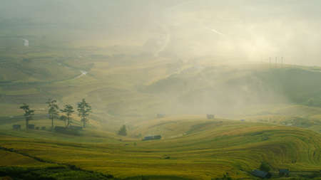 Rice fields on terrace in rainy season at Mu Cang Chai, Yen Bai, Vietnam. Rice fields prepare for...