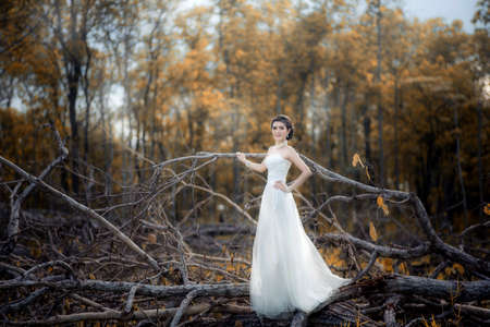 Beautiful girl in the dress of the bride walks in autumn park with trees and fallen leaves