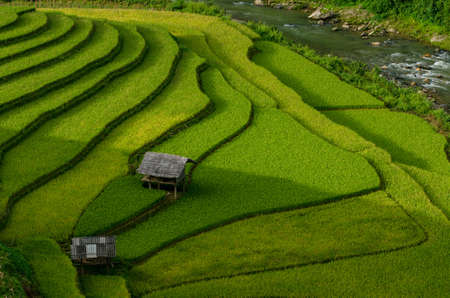 Green Rice fields on terraced in Muchangchai, Vietnam Rice fields prepare the harvest at Northwest Vietnam.Vietnam landscapes.の写真素材