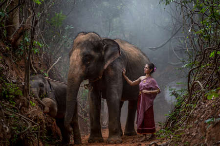 Beautiful Asian Woman wears thai dress with her elephant, elephant village, Surin, Thailandの写真素材