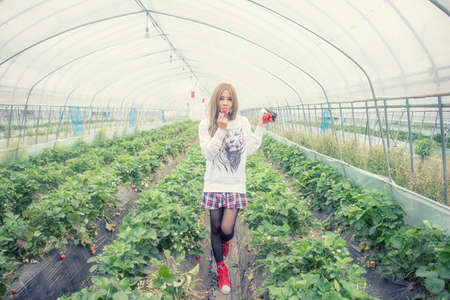 Beautiful Asian girl eating strawberries in garden, Japanの写真素材