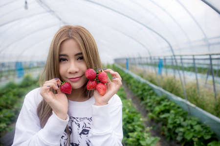 Beautiful Asian girl eating strawberries in garden, Japanの写真素材
