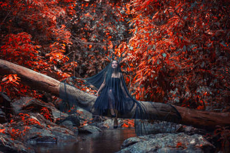 Model girl in a black dress and butterfly, dark evil ,queen sneaks through the stone canyon, white, wild ,Princess , vampire , hip toning , creative color,dark bohoの写真素材