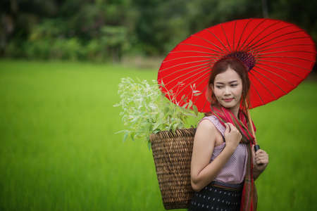 Beautiful Asian woman farmer with red umbrella in Rice farm. agriculture organic small business farmingの写真素材