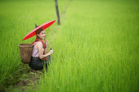 Beautiful Asian woman farmer with red umbrella in Rice farm. agriculture organic small business farmingの写真素材