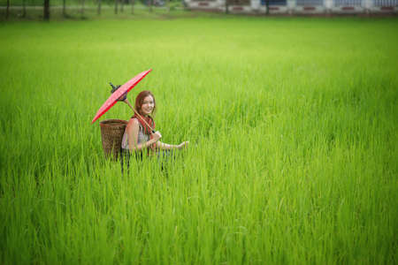 Beautiful Asian woman farmer with red umbrella in Rice farm. agriculture organic small business farmingの写真素材