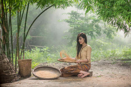 Beautiful Thai Asian women winnow rice separate between rice and rice chaff identity  in...