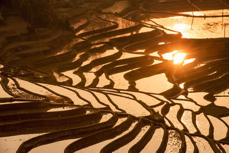 Sunrise at Yuanyang rice terrace from yuanyang village, Yunnan province, Chinaの写真素材