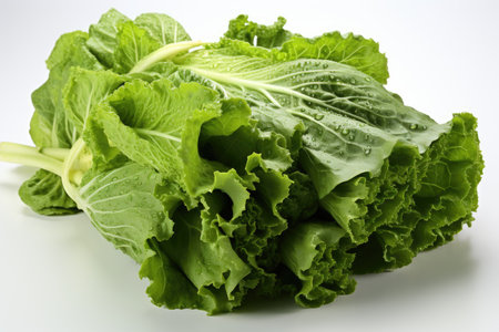 Fresh, crisp lettuce leaves. isolation white background,Generated with AIの素材