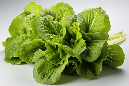Fresh, crisp lettuce leaves. isolation white background,Generated with AIの素材