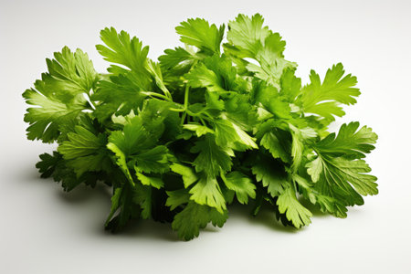 Fresh, aromatic herbs like cilantro and parsley. isolation white background,Generated with AIの素材