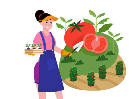 The girl brought the growing tomato plant. Come and plant it in the ground at your farm or garden. Flat style cartoon illustration vectorのイラスト素材