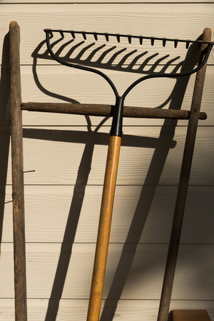 Rake leaning against Wall.の写真素材