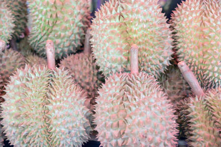 Close up durian,delicious fruit,Thailand.の写真素材