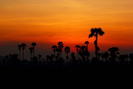 Shadow image sunsetの写真素材