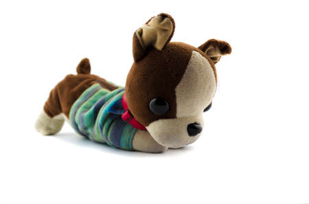 Puppy dollの写真素材