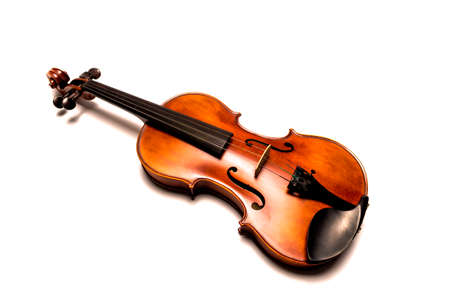 Violinの写真素材