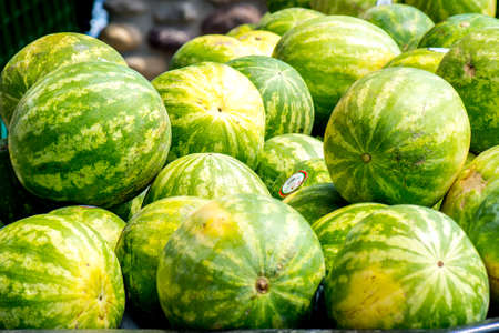 colorful fruits and vegetableの写真素材