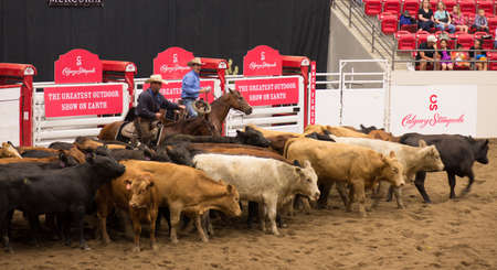 Calgary Stampede, Canada