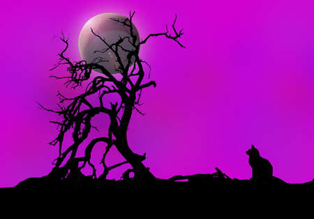 planets and stars in the universeの写真素材