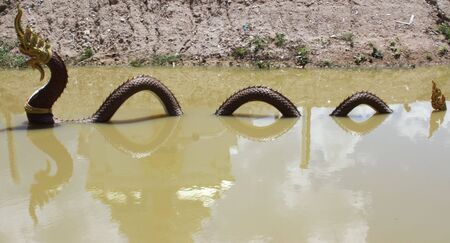 serpent headsの写真素材