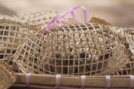 bird in cage in templeの写真素材