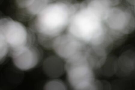 Green Blur Background の写真素材