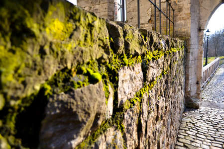 Stone wall covered in mossの写真素材