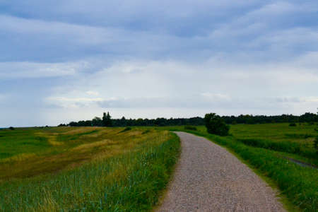 Path wayの写真素材