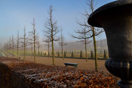 Tree alleyの写真素材