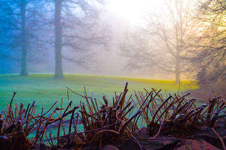 Surreal fogの写真素材