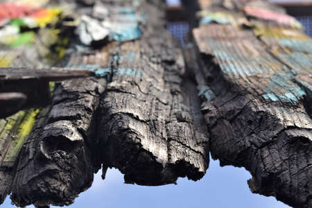 From beneathの写真素材