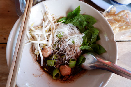 Namtok Noodles,Thai noodle with pork, stewed pork, meatball, pork liver and blood soupの写真素材