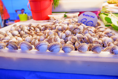 Lots of cockle on the market.Prepared for customers to choose to make a menu, burn or blanch in...