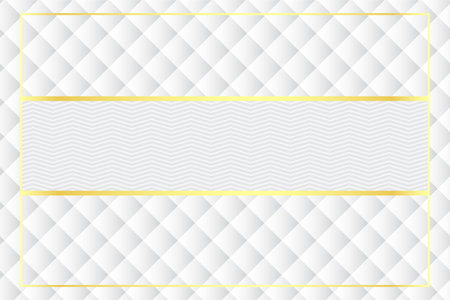 Modern luxury abstract background with golden line elements. modern gray and white background vector for designのイラスト素材