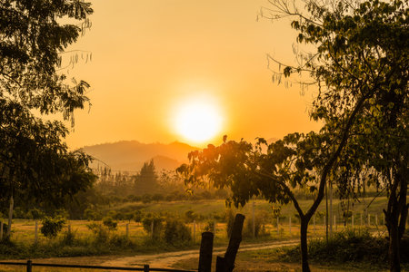 The beautiful sunset sky and forest landscape change colors at twilight.の写真素材