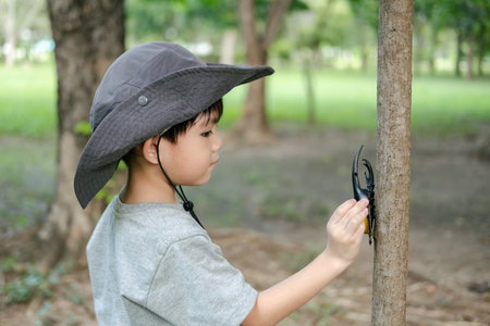An Asian boy wearing a hat in a forest exploration suit plays with a beetle clinging to a tree.の写真素材