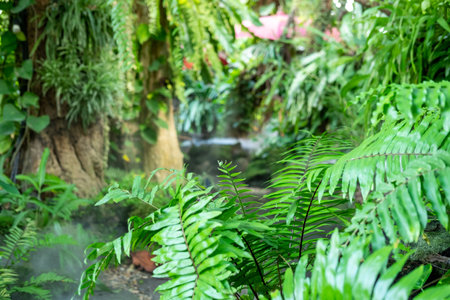 Green lush foliage moss and fern in reshness plant garde, rainforest.