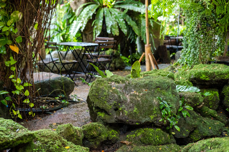 Green lush foliage moss and fern in reshness plant garde, rainforest.の写真素材